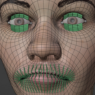 Blender Facial Rig for Grow Goodness